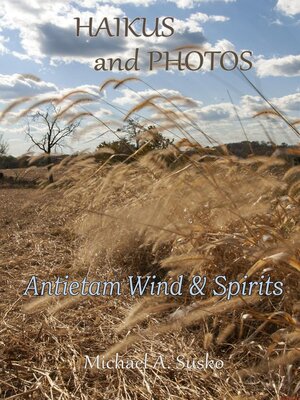 cover image of Haikus and Photos